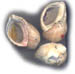 Tree shells
